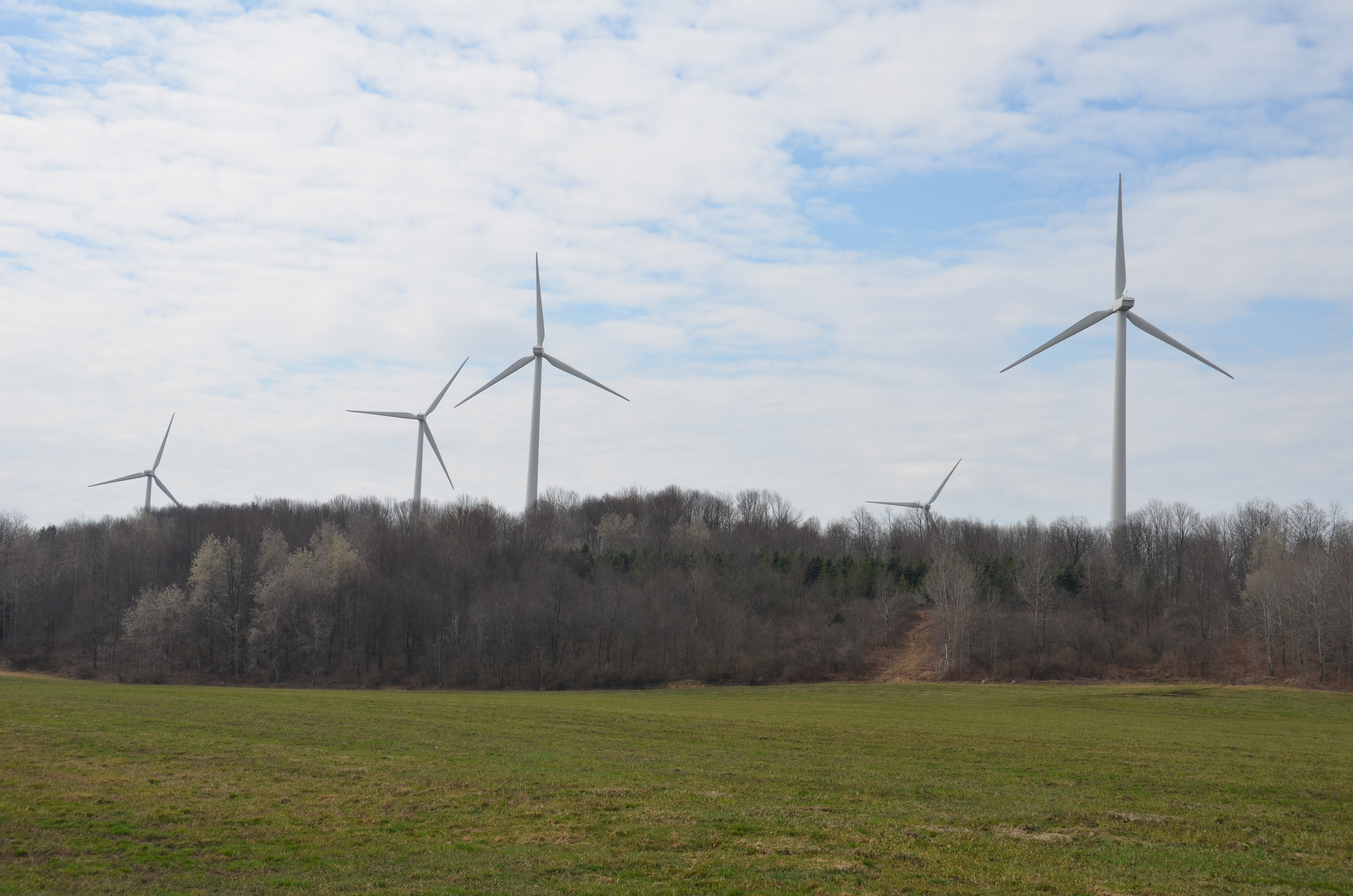 Wind farm, Western New York